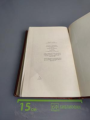 Гений. Книга вторая. Борьба (Продолжение). Том шестой. Полутом второй