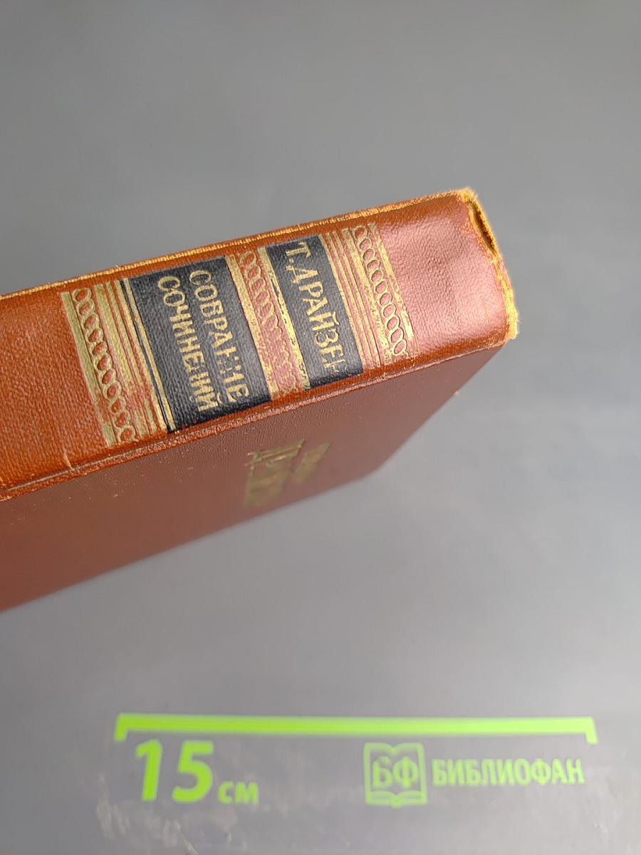 Гений. Книга вторая. Борьба (Продолжение). Том шестой. Полутом второй