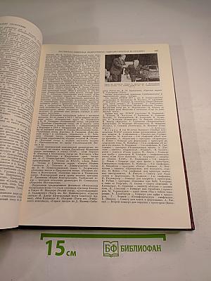 Ежегодник Большой Советской Энциклопедии 1978, выпуск двадцать второй