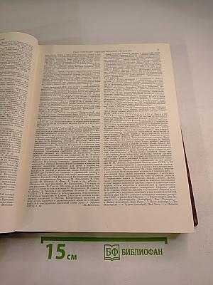 Ежегодник Большой Советской Энциклопедии 1980. Выпуск двадцать четвертый