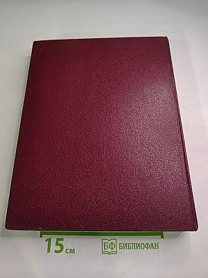 Ежегодник Большой Советской Энциклопедии 1980. Выпуск двадцать четвертый