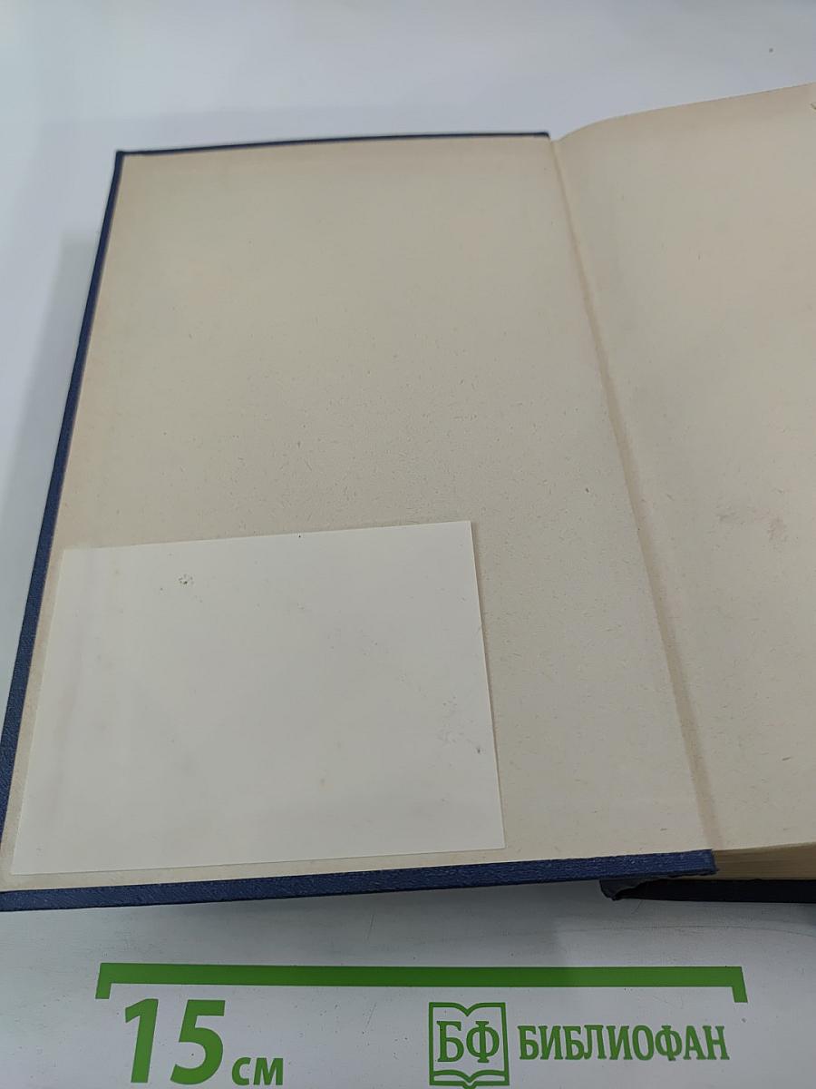 История русской литературы. Том III