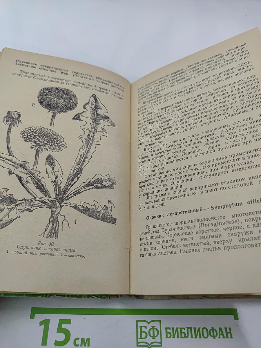 Лекарственные растения и их применение