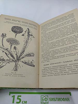 Лекарственные растения и их применение