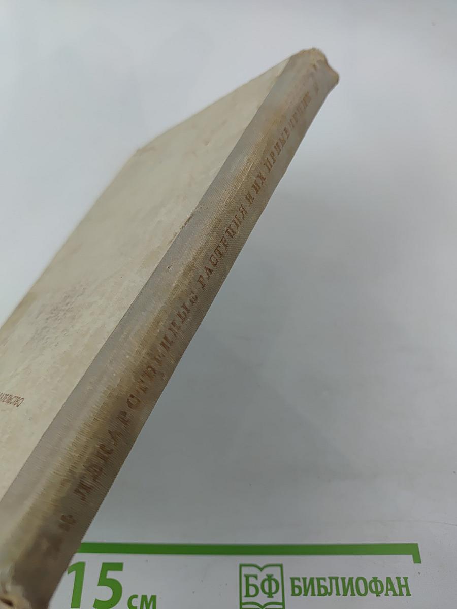 Лекарственные растения и их применение