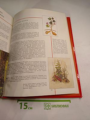 Всемирная история для детей. Открытие Америки