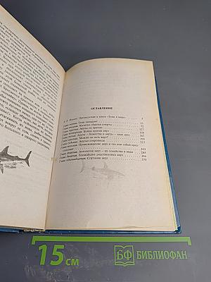 Тени в море