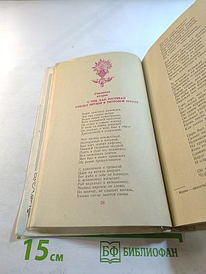 Витязь в тигровой шкуре