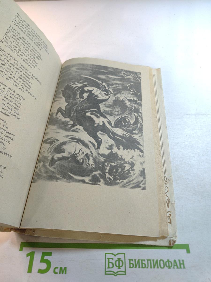 Витязь в тигровой шкуре