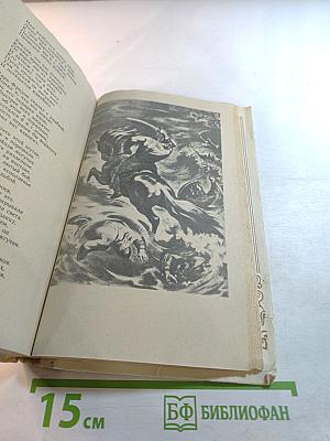 Витязь в тигровой шкуре