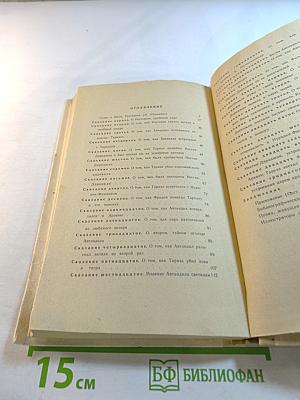 Витязь в тигровой шкуре