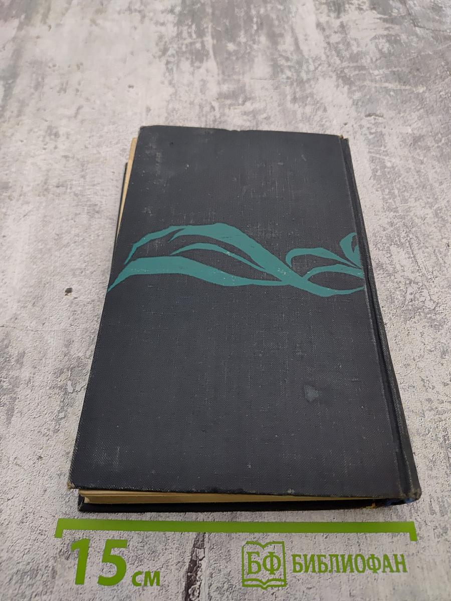 Острова в океане