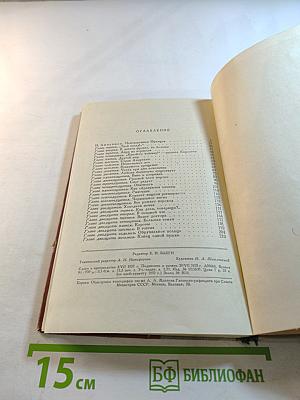 Первый удар. Книга вторая: Конец одной пушки