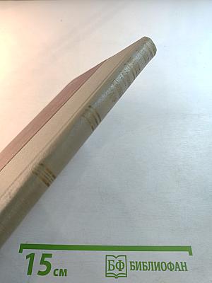 Первый удар. Книга вторая: Конец одной пушки