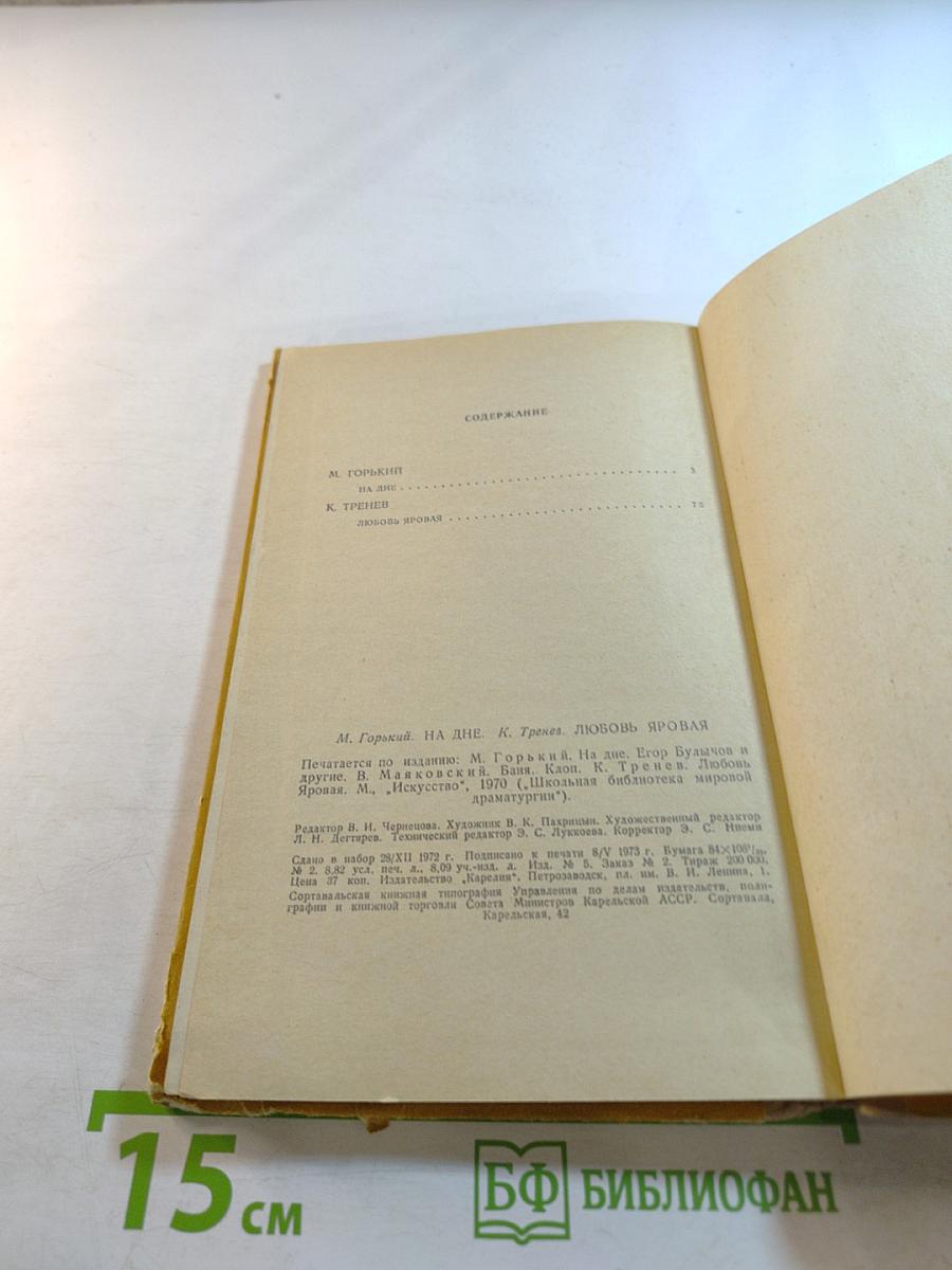 На дне. Любовь Яровая