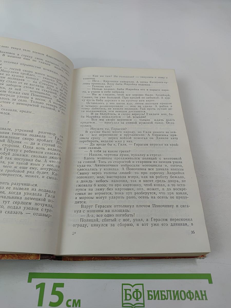 Земля под копытами