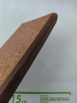 Земля под копытами