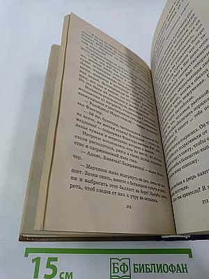 Остров Амазонок. Одиссея полковника Строганова. Книга первая