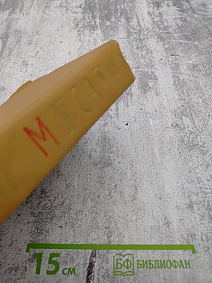 Стожары. Дом на горе. Зеленый шум