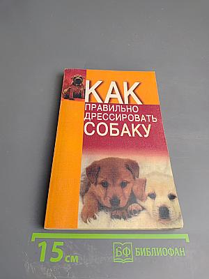 Как правильно дрессировать собаку