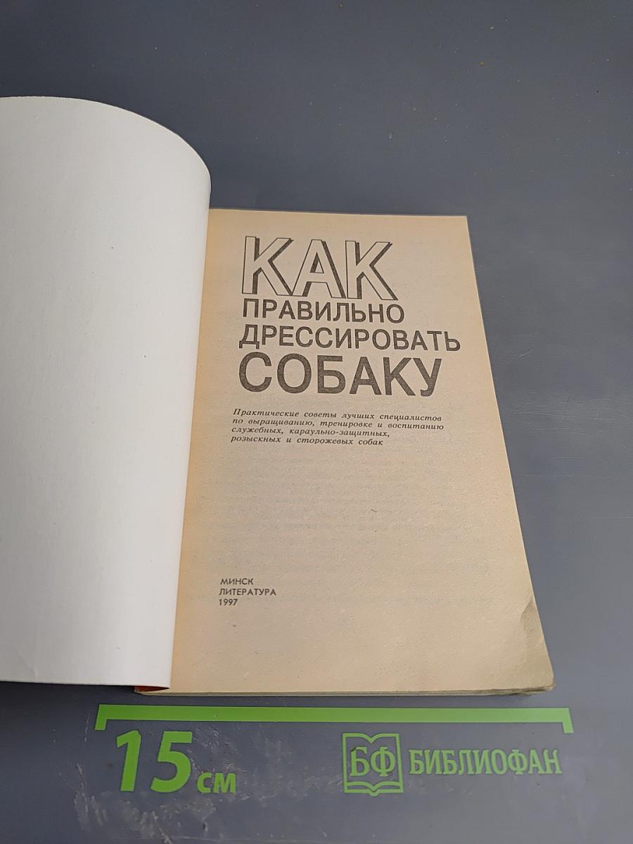 Как правильно дрессировать собаку