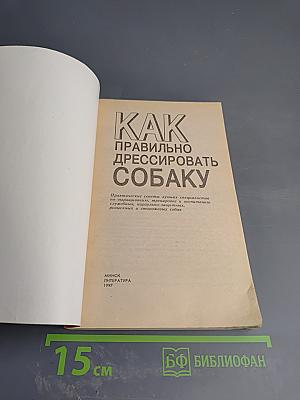 Как правильно дрессировать собаку