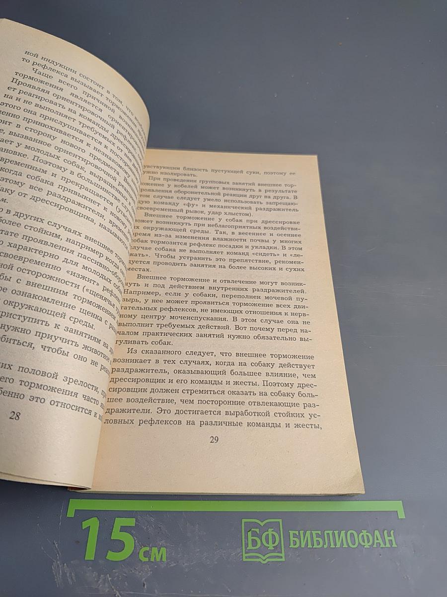 Как правильно дрессировать собаку