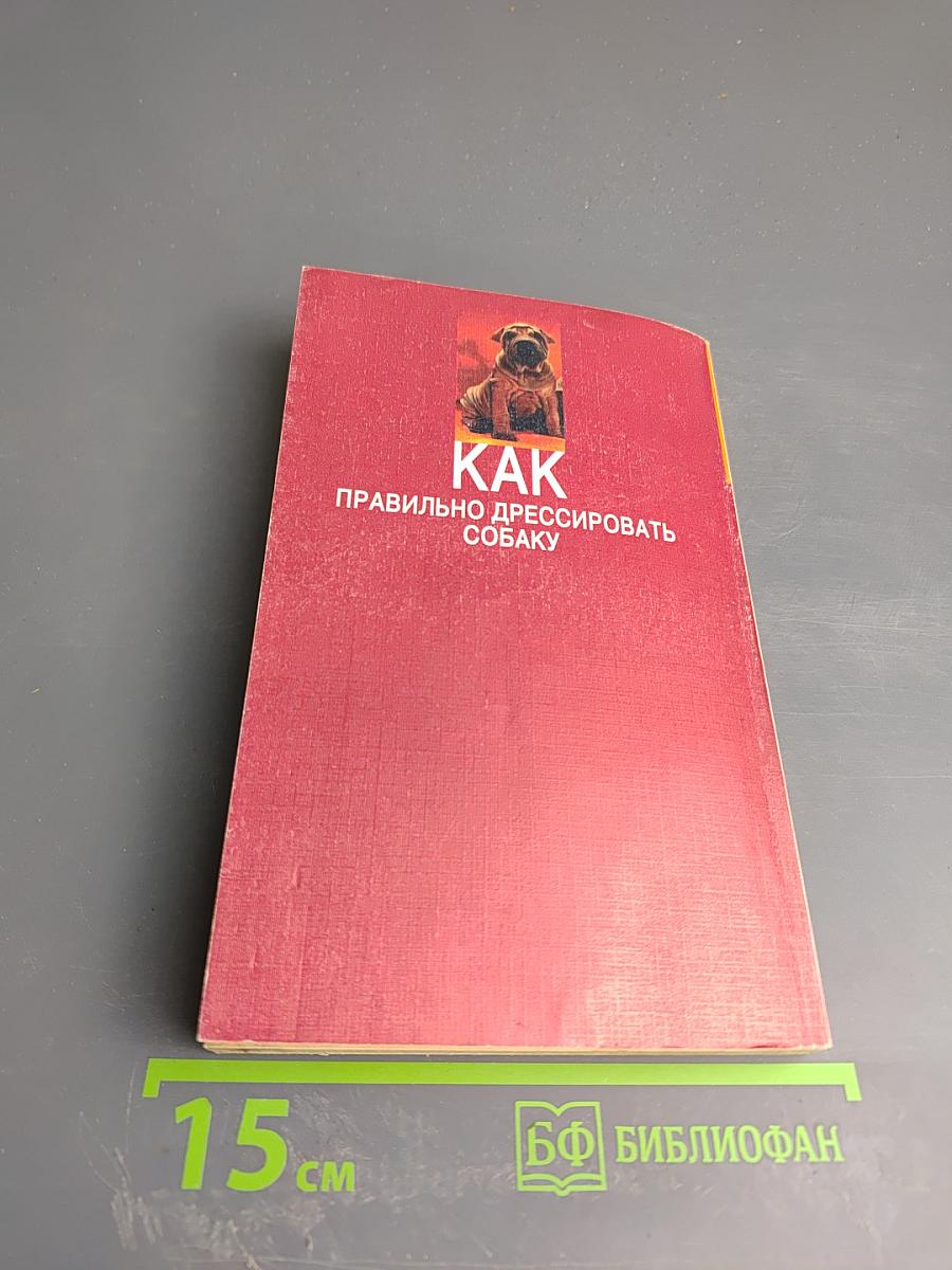 Как правильно дрессировать собаку
