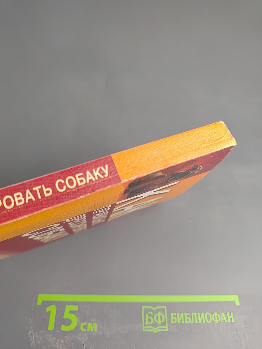 Как правильно дрессировать собаку