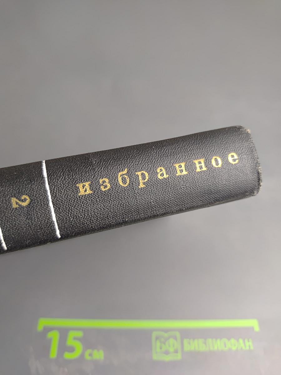 Избранные произведения в двух томах. Том второй: Стихотворения. Статьи и заметки о поэзии