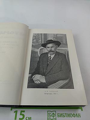 Собрание сочинений в тридцати томах. Том 15: Рассказы, очерки, заметки из дневника, воспоминания 1921-1924