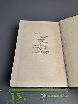 Человеческая комедия. Сцены частной жизни. Том 2