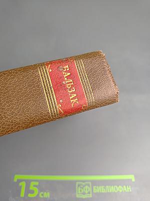 Человеческая комедия. Сцены частной жизни. Том 2