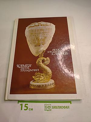 Камни Петра Зальцмана