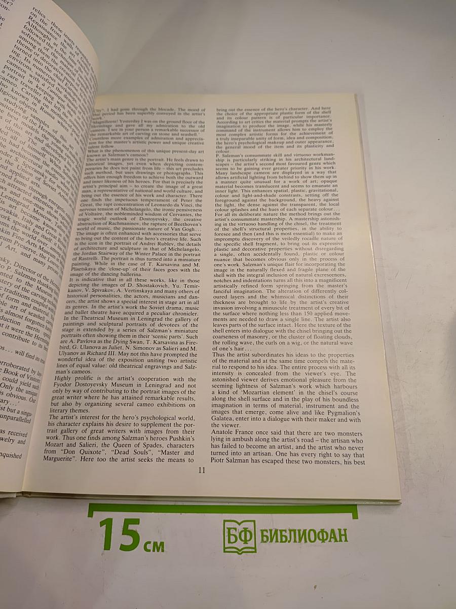 Камни Петра Зальцмана