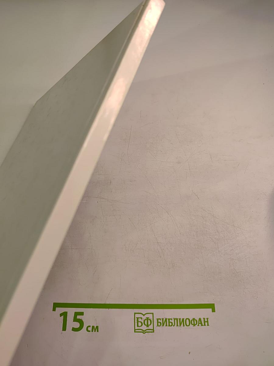 Камни Петра Зальцмана