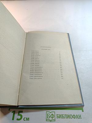 Русский лес