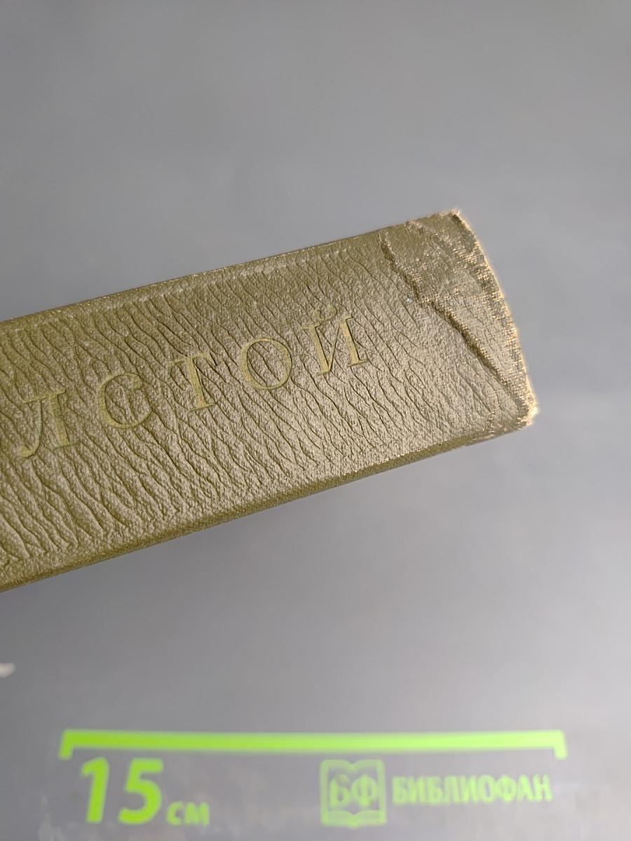 Собрание сочинений. Том одиннадцатый. Драматические произведения 1864-1910 гг.