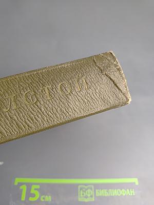 Собрание сочинений. Том одиннадцатый. Драматические произведения 1864-1910 гг.