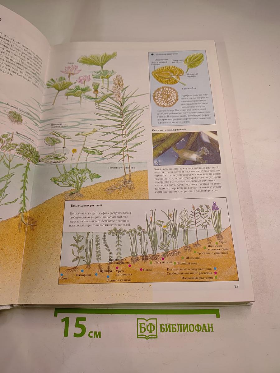 Экология. Познавательная энциклопедия