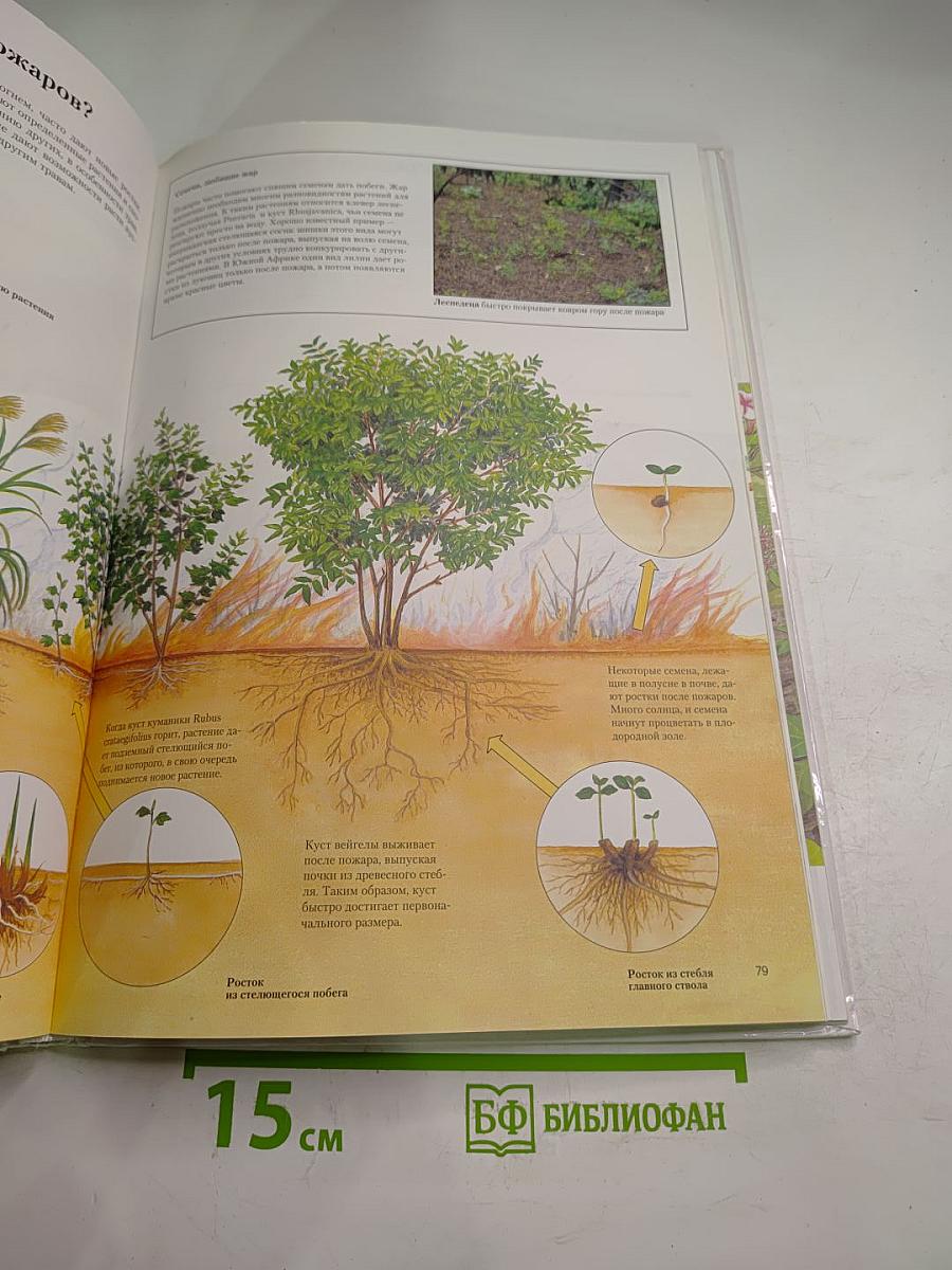 Экология. Познавательная энциклопедия