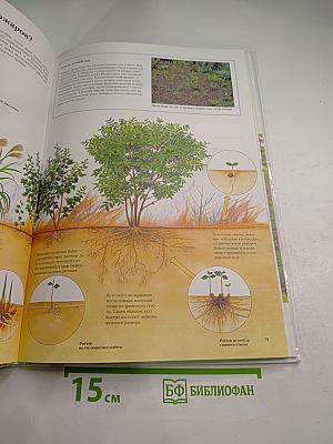 Экология. Познавательная энциклопедия