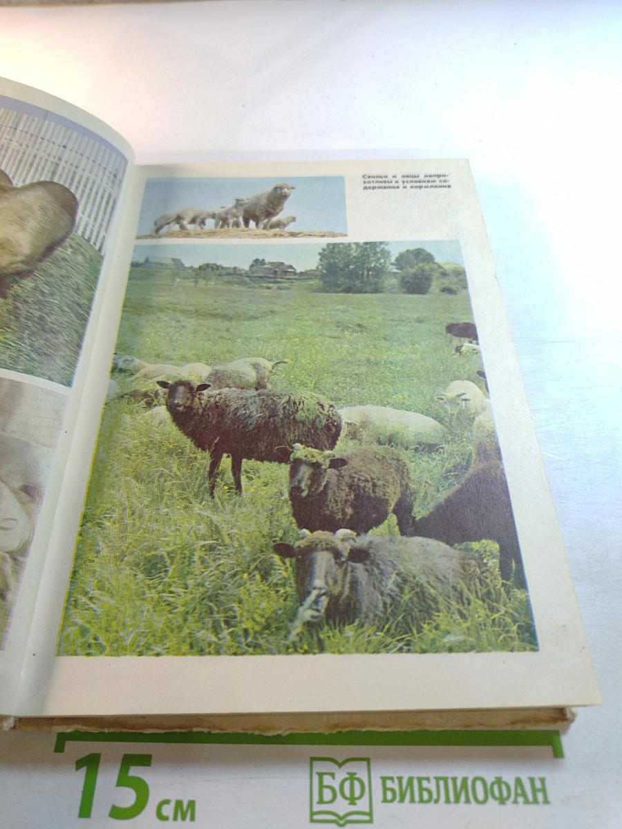 Приусадебное хозяйство