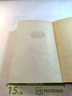 Крошка Доррит. Книга вторая. Богатство