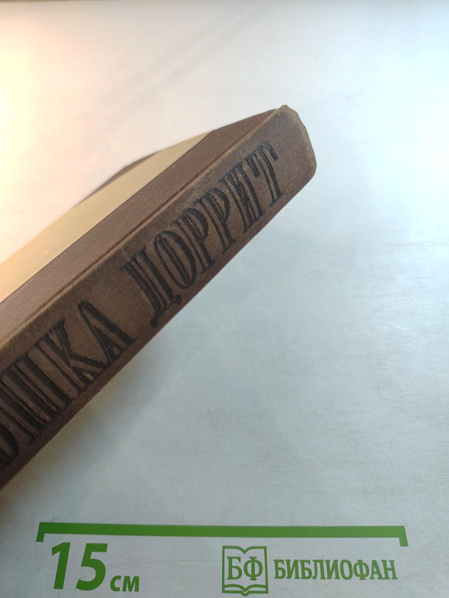 Крошка Доррит. Книга вторая. Богатство