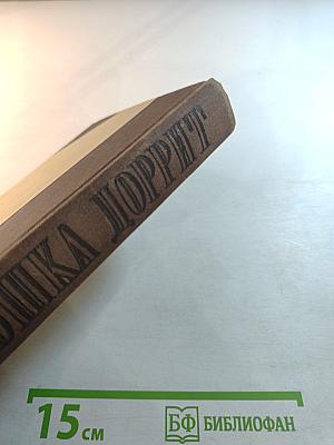 Крошка Доррит. Книга вторая. Богатство