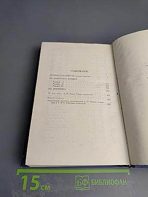 Остров Сахалин (Из путевых записок). Собрание сочинений в 12 томах. Том VIII