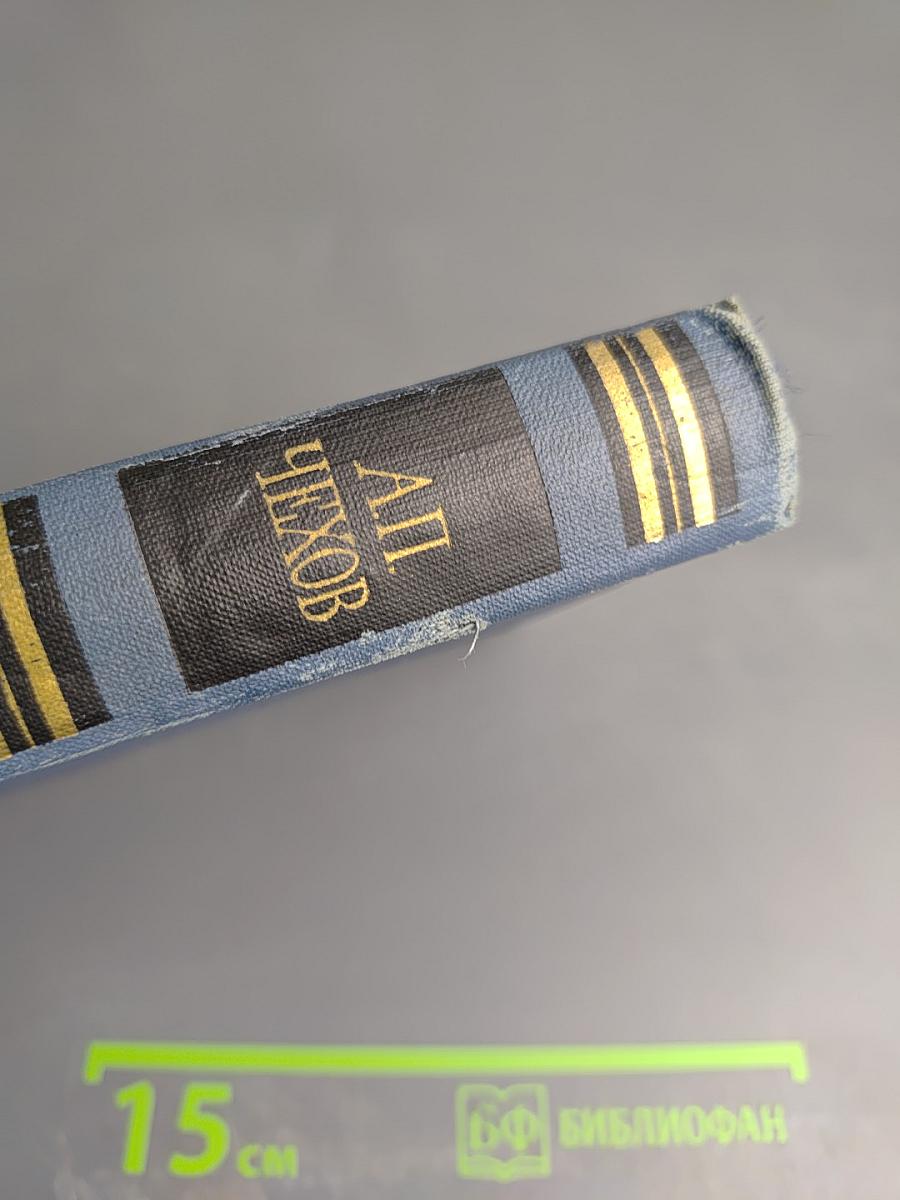 Остров Сахалин (Из путевых записок). Собрание сочинений в 12 томах. Том VIII