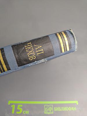 Остров Сахалин (Из путевых записок). Собрание сочинений в 12 томах. Том VIII