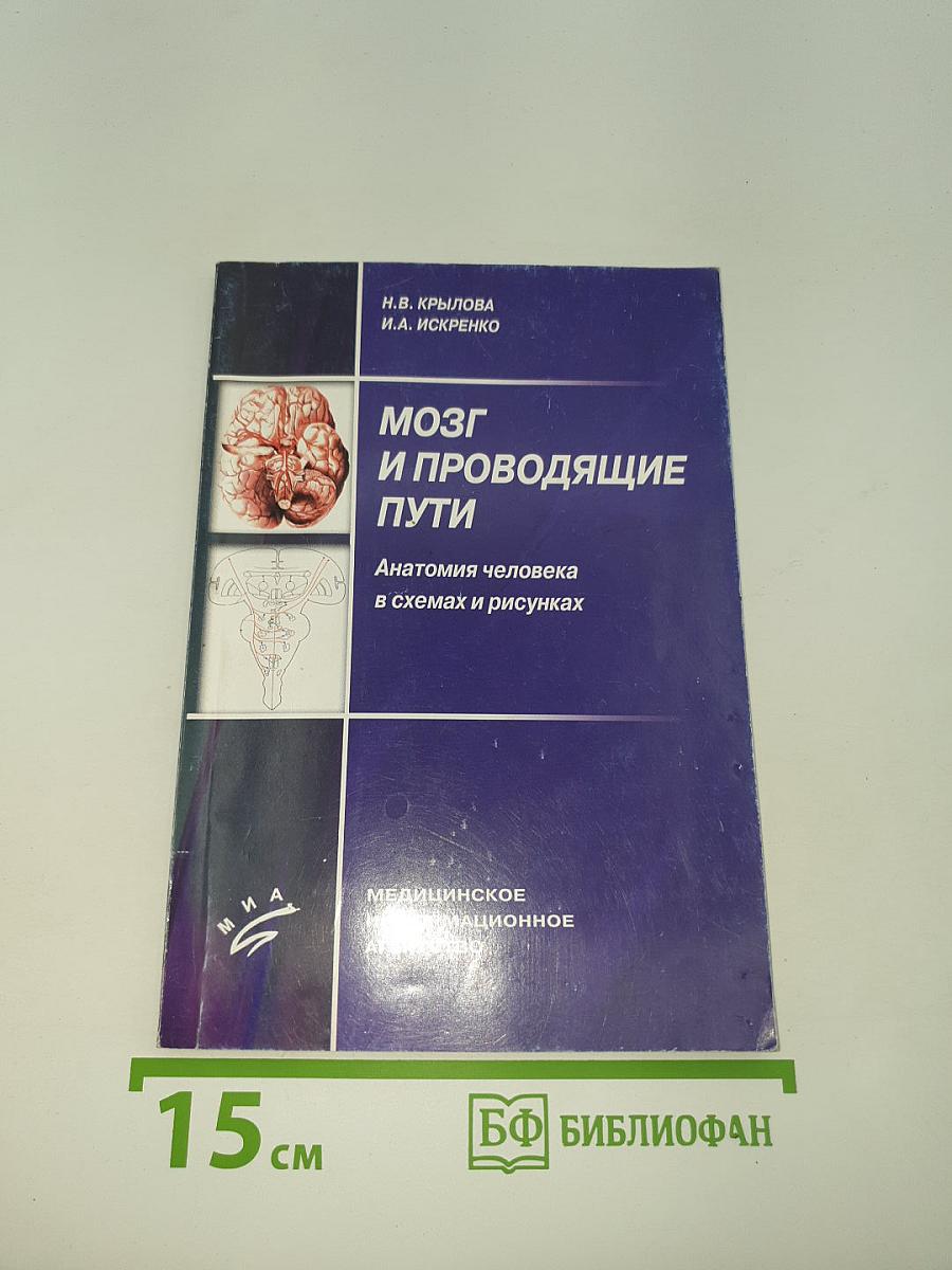 Мозг и проводящие пути. Анатомия человека в схемах и рисунках